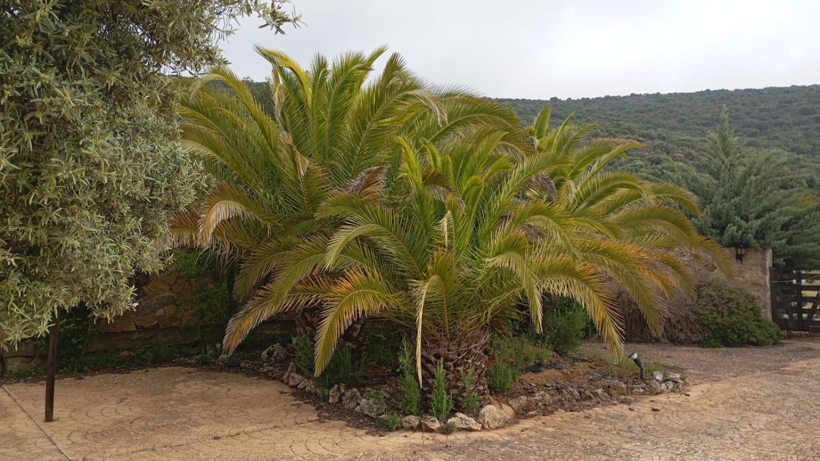إستيبا Casas Rurales Cortijo La Canada المظهر الخارجي الصورة